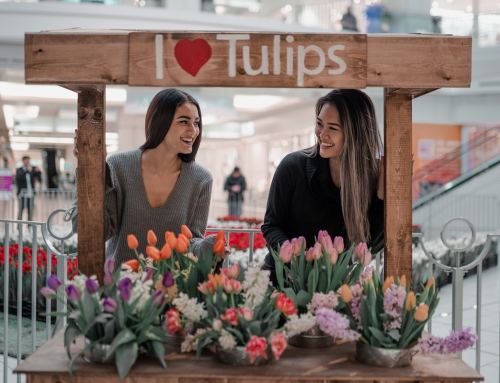 14,000 LIVE TULIPS BLOOM IN METROPOLIS AT METROTOWN, MARCH 7TH 2020